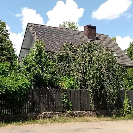 A-ura Goscinne Mikołajki